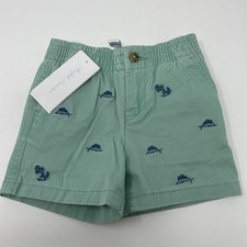 Ralph Lauren Baby Boys Size 9 Months Green Shorts