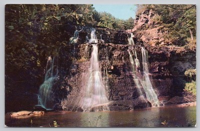 Catskill Mountains New York Waterfalls Forest Cascade Chrome Postcard