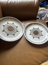 Bin 2 X  Retro 50s Biltons Staffordshire Ironstone Plates