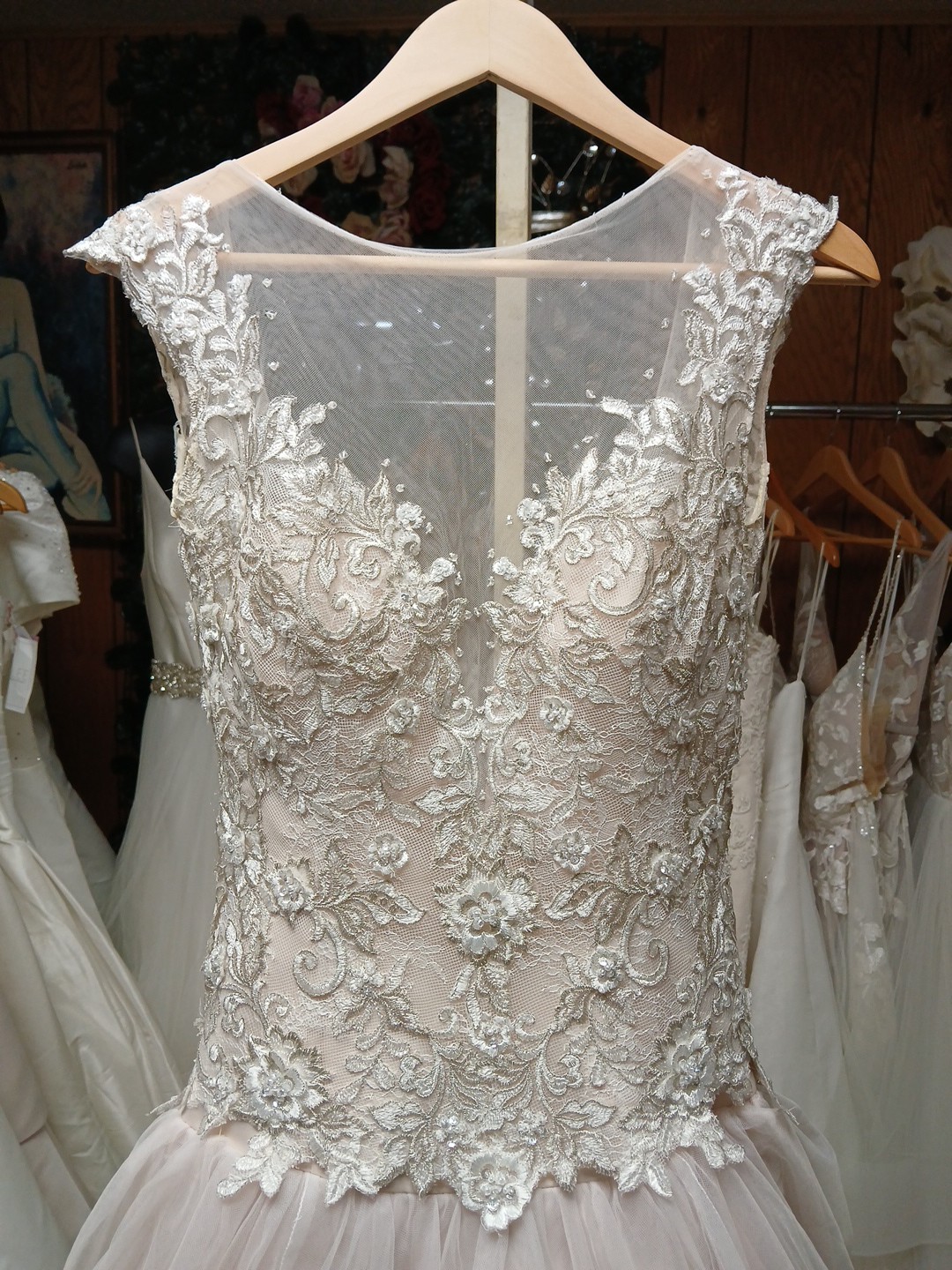 David Tutera Blush Lace Ballgown Size 6