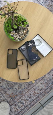 IPhone 13 Pro Max 256 GB