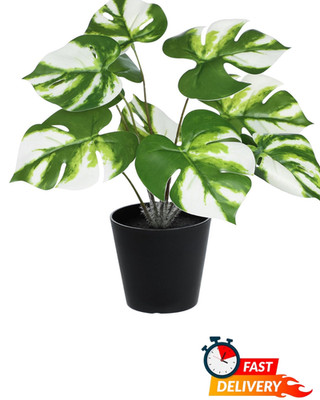 Artificial Monstera Plant 11.8in White Leaves Potted Faux Indoor Home Decor