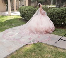 1 Quinceanera Dress 1 Matching Party Dress 1 hoop & Tiara Total Value $1,200
