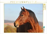 Calvendo Puzzle Pferd Junghengst PorträT | 1000 Teile Lege-GrößE 64 × 48 Cm Foto
