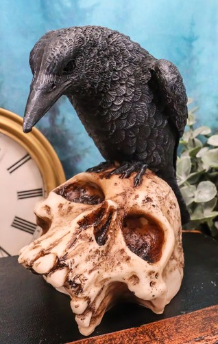Foreboding Dark Crow Raven On Skull Statue 5"Tall Ossuary Scavenger Raven Bird - Picture 10 of 10