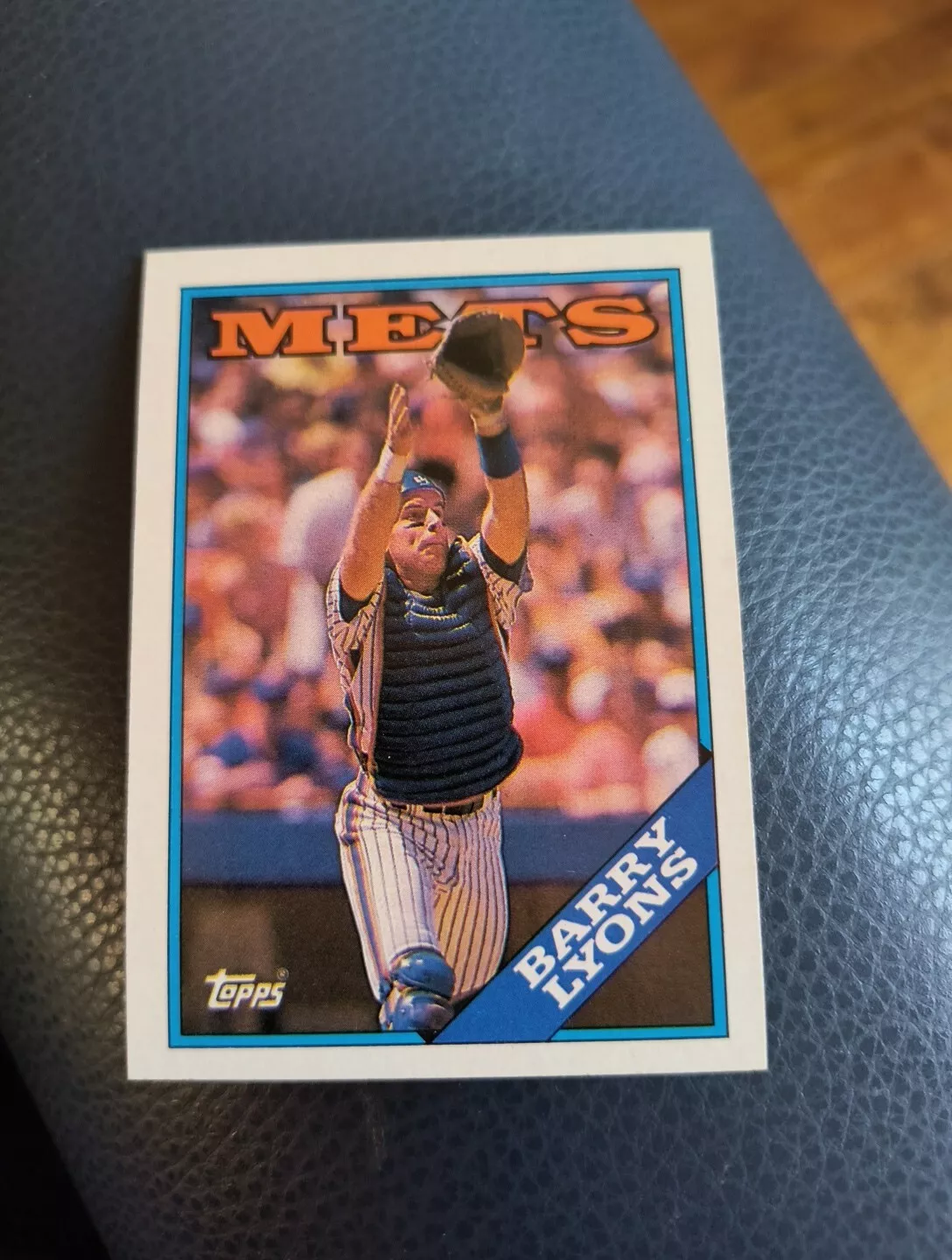 Barry Lyons trading card