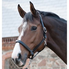 Horse Guard Lederhalfter - schwarz - Warmblut Pferdehalfter Halfter Pferde Leder