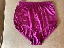 Vintage SILKY Soft Nylon Brief Panties Size 7/L MYONNE Fuchsia Lace