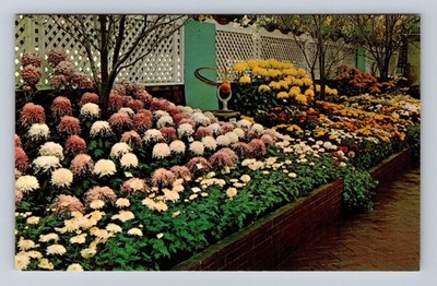 Pittsburgh PA-Pennsylvania, Phipps Conservatory Border Garden Vintage Postcard