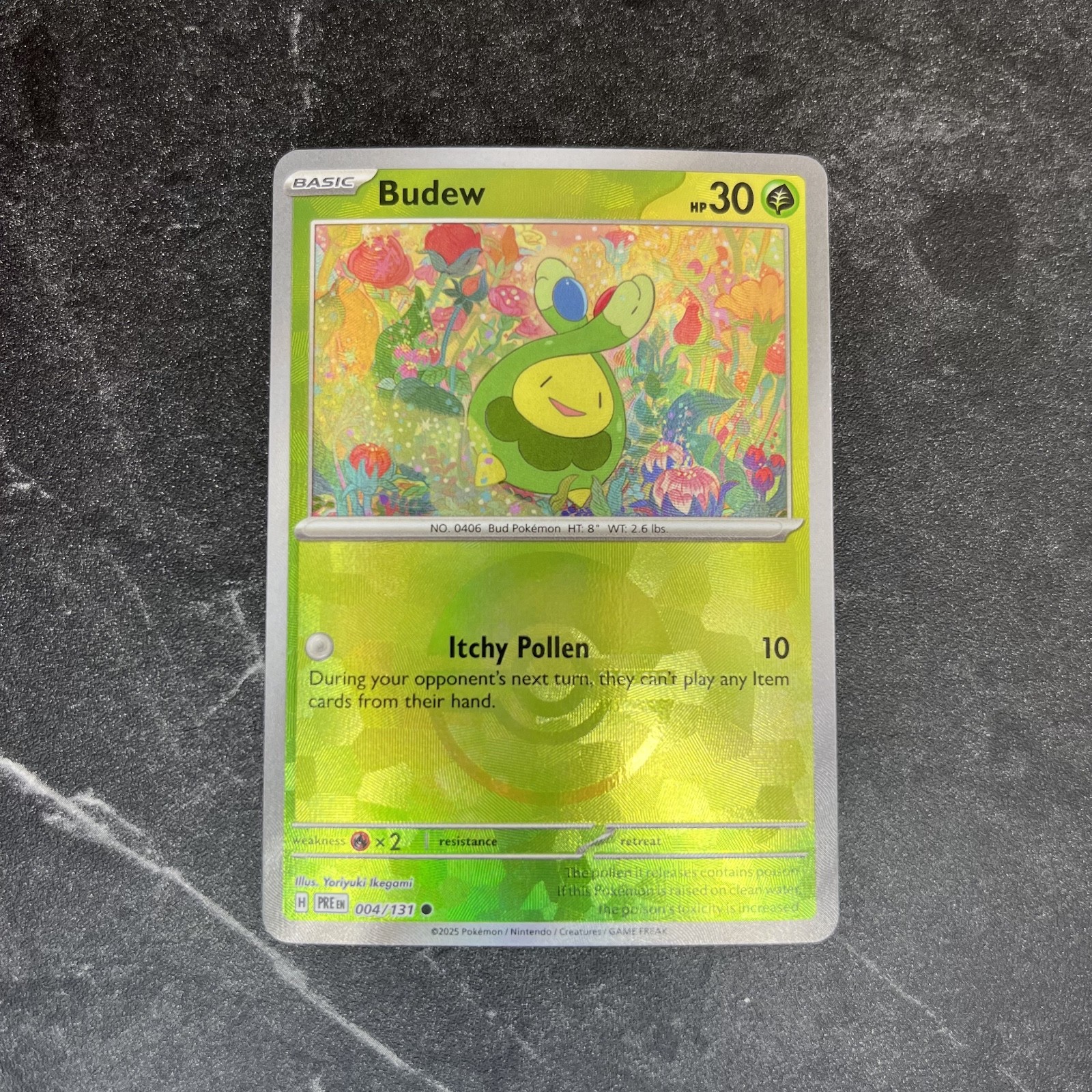 Budew Poke Ball Pattern Holo Common 004/131 SV: Prismatic Evolutions (PRE) NM