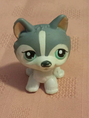 #ad Littlest Pet Shop No # Number Husky Standing Gray White Teal Eyes Puzzle Husky $17.99