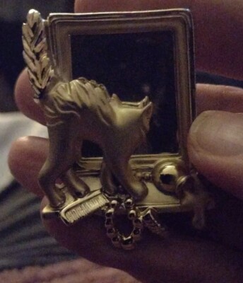 Gold Tone 3d AJC funny cat Looking In Mirror Brooch Pin 