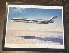 Eastern Air Lines McDonnell Douglas DC-9 Framed Airplane Art Print Picture