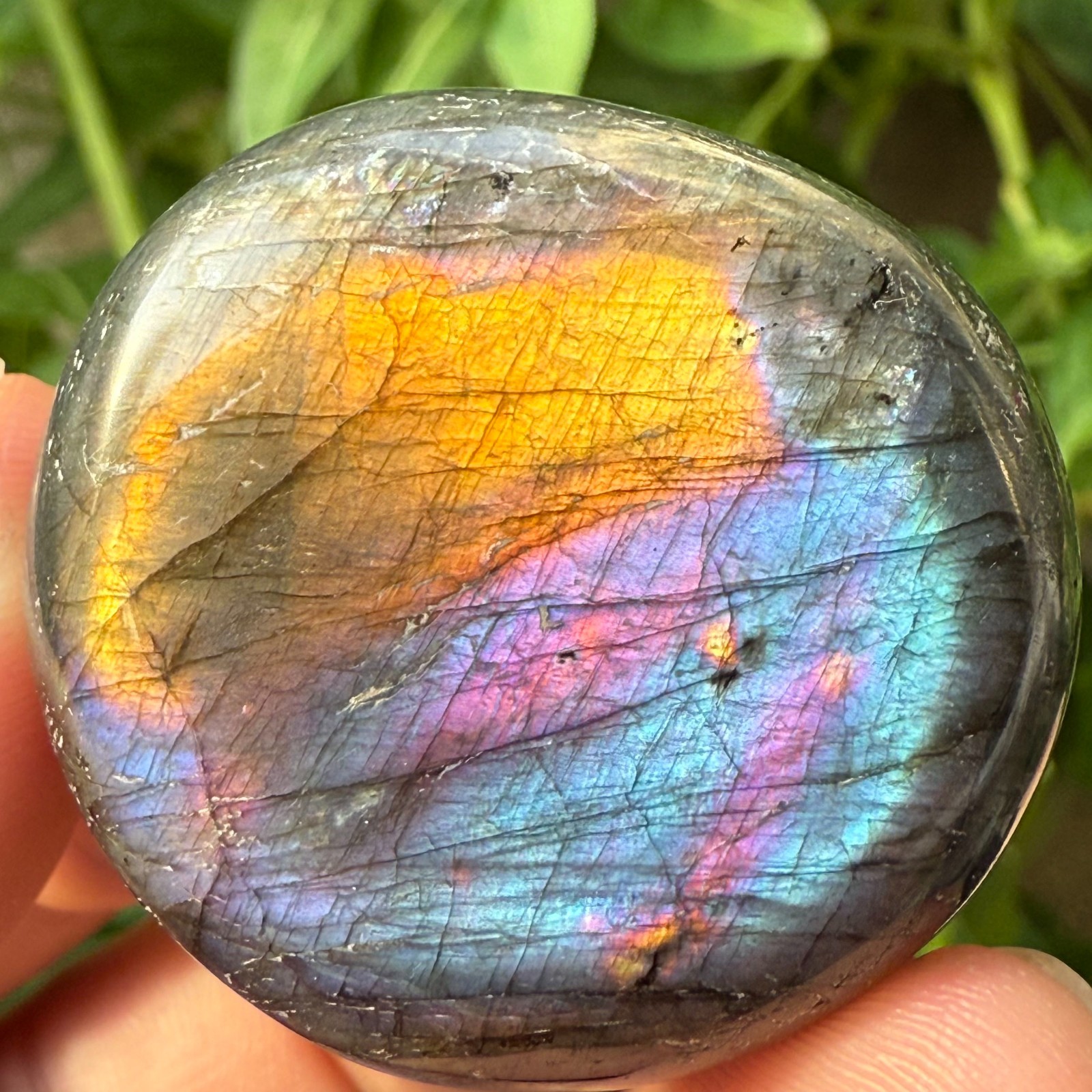 40g Natural Flashy Rainbow Labradorite Palm Crystal Quartz Healing Reiki
