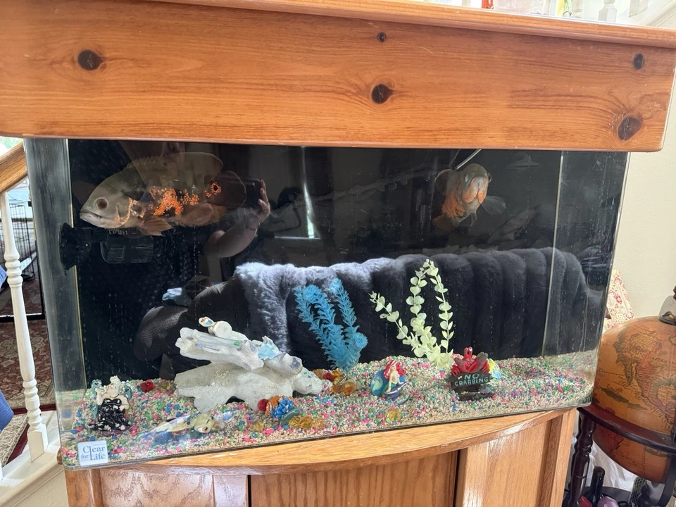 Fish Tanks With Fishes For Sale. All Heavy Plastic Not Glass. - Image 2 of 4