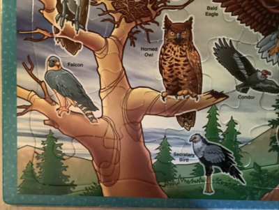 Vintage - Puzzle Patch - 25 Piece Picture Puzzles - BIRDS OF PREY