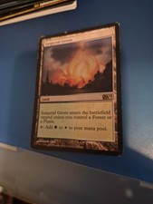 Magic 2012 Sunpetal Grove