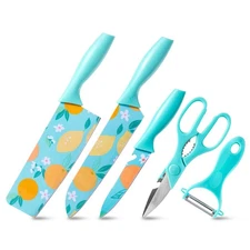 Kitchen Knife Set 5 Pcs in Gift Box, Sharp Stainless Steel Chef Knives, Food ...