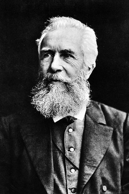 Ernst Haeckel photo 