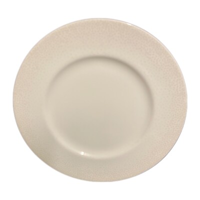 LENOX EFFERVESCENT 2-Dinner Plates Simply Fine Bone China