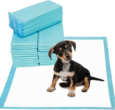 FPN Potty Training Pads for Dogs Ultra-Absorbent Unscented Blue Pads Small 13x18