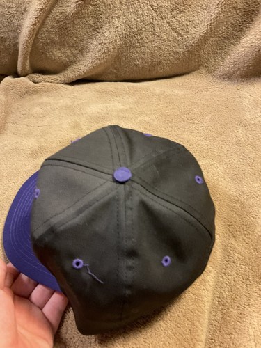Vintage Northwestern Wildcats Snapback Hat Logo 7 Purple Black University Cap - Picture 8 of 12