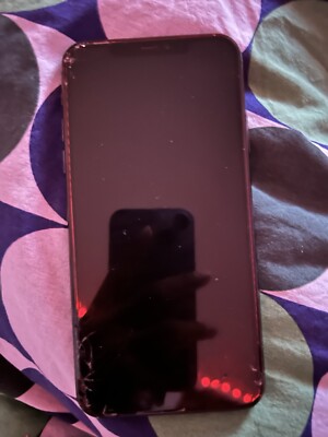 iPhone 11 Pro Max With TikTok Installed 