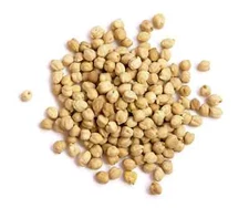 Chickpea Seeds (30) / Kabuli Chana / Garbanzo Bean / ORGANIC / FLORIDA GROWN