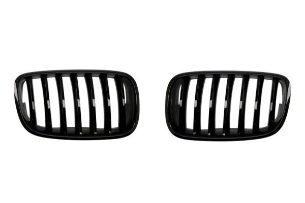 Blic 6502-07-0096990P KüHlergrill FüR BMW-image