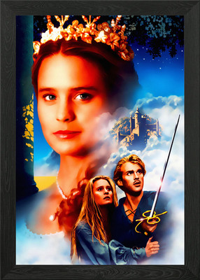 The Princess Bride Framed Wall Art Poster Canvas Print Picture