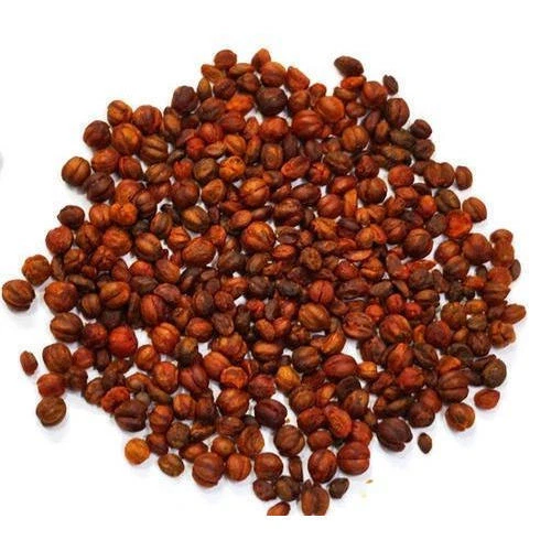 Malkangni / Jyotishmati / Celastrus Paniculatus Seed - Raw Herb - Free Shipping - Picture 1 of 1
