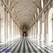 Indoor 10'x10' Computer-painted CP Scenic Photo Background Backdrop SN317B881