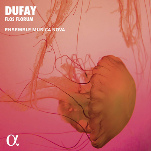 Guillaume Dufay Dufay: Flos Florum (CD) Album