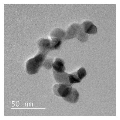 Evonik Degussa P25 TiO2 Titanium Dioxide 100-Grams Nanoparticle Catalyst