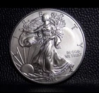 2015 American walking liberty fine Silver Eagle IN HARD SHELL CASE