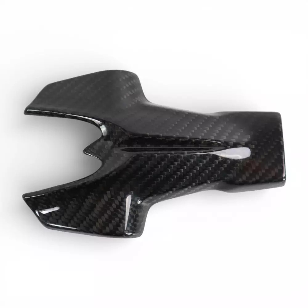 Cache support de plaque carbone Triumph Speed Triple 1200 RR RS accessoire moto