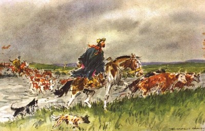 1956 Uruguay Gaucho Horse Painting Postcard E Castells Capurro Abbott Medical
