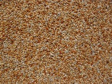 Wellensittichfutter 1 kg Vogelfutter Sittichf...