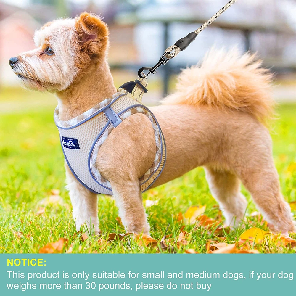 Dog Harness with Leash Set, No Pull Adjustable Reflective Step-In Puppy Harness