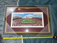 USC WILLIAMS BRICE STADIUM PICTURE Framed South Carolina Gamecocks Football