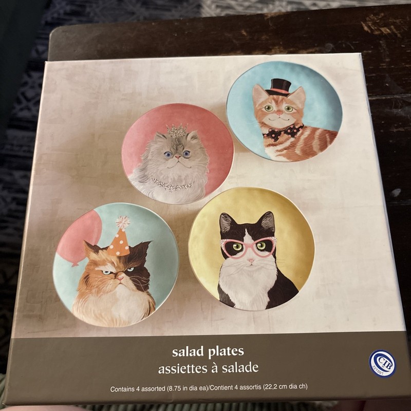 Pier 1 Imports Salad Plates Party Cats  Ironstone 8.7" Whimsical New In Box
