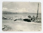 #  20  OLD WW2 MILITARY PHOTO DESTROYED JAPANESE PLANE 1943  SNAPSHOT