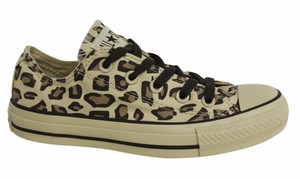 converse oxford trainers