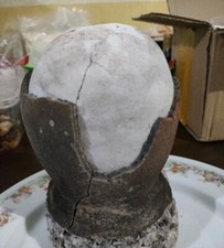 Rare & Genuine Asin Tibuok Dino Egg Artisanal Coconut Sea Salt Bohol Philippines
