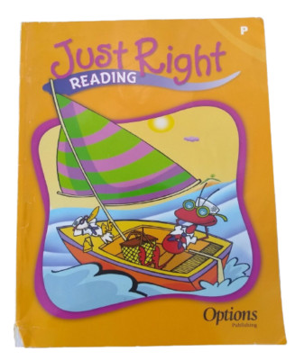 Just Right Reading Workbook, Preschool / Level P Homeschooling