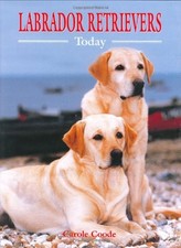 Labrador Retrievers Today (Book of the Breed S),Carole Coode