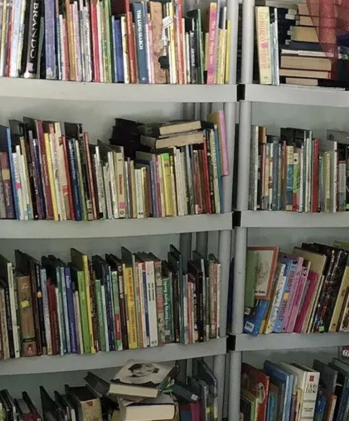 Lot of 250 Learn to Read K-3 Kids Children’s Books Illustrated Fiction/ Non - Image 3 of 4