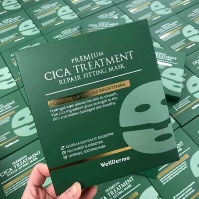 [WellDerma] Premium Cica Treatment Repair Fitting Mask 4ea