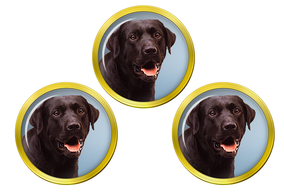 Chocolate Labrador Retriever Golf Ball Markers