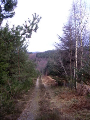 Photo 6x4 Eastern end of track over Hill of Trustach Bridge of Canny  c2009